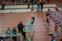 Halle SG