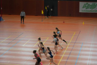 Halle SG