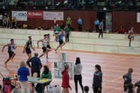 Halle SG
