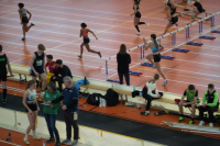 Halle SG