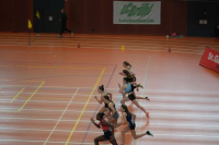 Halle SG