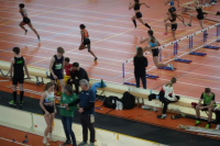 Halle SG