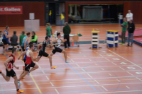Halle SG