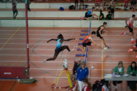 Halle SG