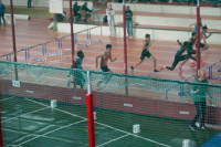 Halle SG