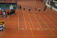 Halle SG
