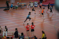 Halle SG