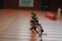 Halle SG