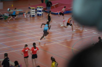 Halle SG