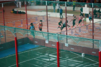 Halle SG