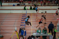 Halle SG