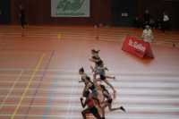 Halle SG