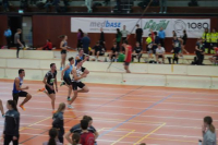 Halle SG