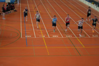 Halle SG