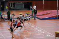Halle SG