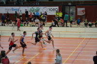 Halle SG
