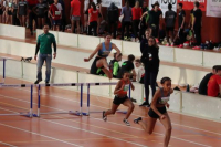 Halle SG