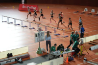 Halle SG