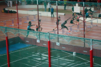 Halle SG