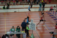 Halle SG
