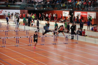 Halle SG