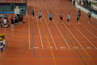 Halle SG