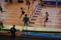 Halle SG