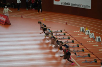 Halle SG