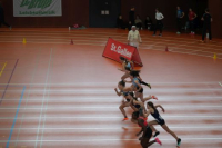 Halle SG