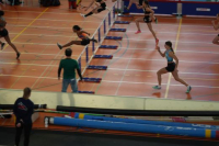 Halle SG