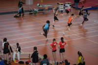 Halle SG