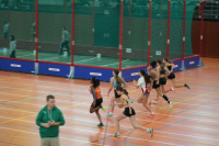 Halle SG