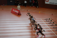 Halle SG