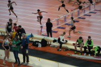 Halle SG
