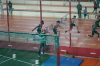 Halle SG