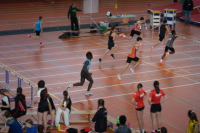 Halle SG