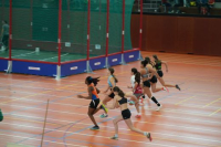 Halle SG
