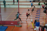 Halle SG