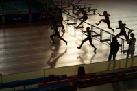 Halle SG