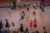 Halle SG