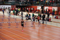 Halle SG