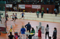 Halle SG