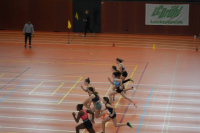 Halle SG