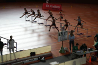 Halle SG