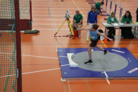 Halle SG