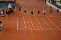 Halle SG
