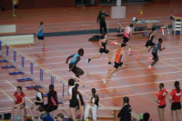 Halle SG
