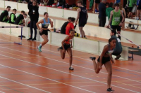 Halle SG