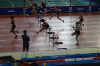 Halle SG