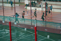 Halle SG